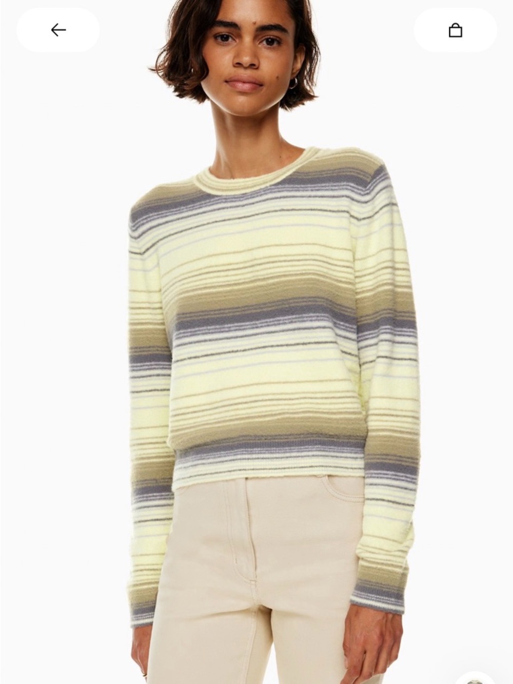 Aritzia Meadow Hush Knit Striped Crewneck Sweater